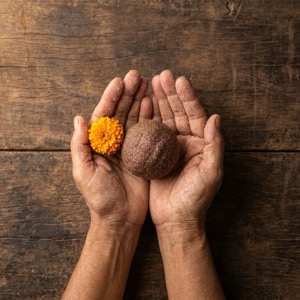 Cupped palms holding a ragi laddu